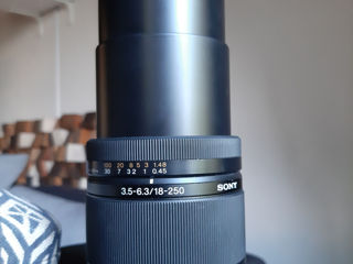 Sony DT 18-250mm f/3.5-6.3 Super Zoom