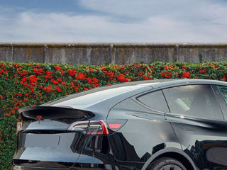 Tesla Model Y foto 2