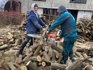 Servicii complexe de tăiere și toaletare a copacilor! Echipament profesional și echipa cu experienta foto 19