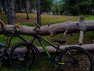 Orbea mx 26 dirt foto 0