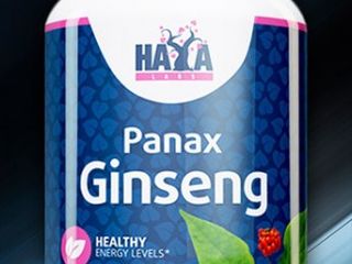 Panax ginseng  женьшень foto 1