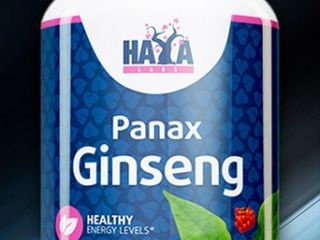Panax ginseng  женьшень
