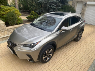 Lexus NX Series