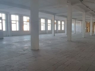 Chirie - depozit / producere Centru / 1000 m2 foto 7