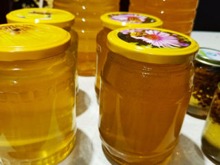Miere de albini la preţ redus angro