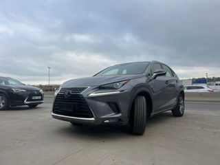 Lexus NX Series