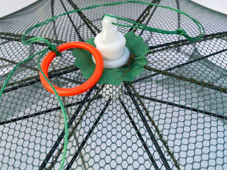 Складная ловушка для зонта  с 6  8 10 12 16 отверстиями рыболовного краба крабов креветок foto 5