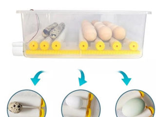 Incubator pentru oua Demetra DM-176 / Livrare gratuita / Achitarea in 4 Rate.. foto 3