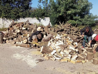 Lemne de foc Vindem lemn tare și uscat la un preț foarte bun. foto 3