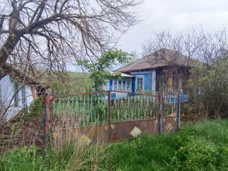 Se vinde casa în satul Pîrliț are 20 ari lîngă casă. foto 10