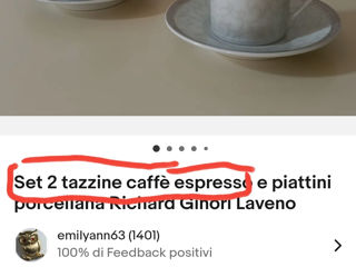 Serviciu caffea elegant din Porțelan de firma"Richard Ginori" pentru manufactura Laveno cu Arngint foto 8