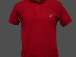 Lacoste foto 6