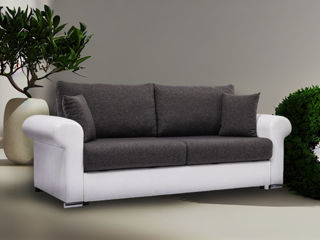 Canapea elegantă și confortabilă în living