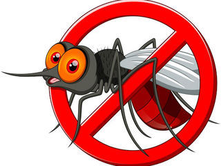 Plase anti-insecte pret bun!!! foto 5