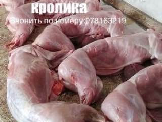 Домашнее мясо кроликов.забой под заказ.возможна доставка. foto 2