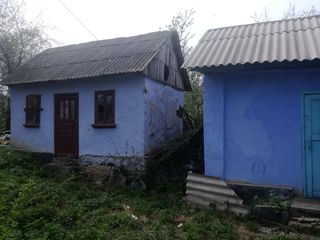 Vind casa in Orasul Soroca urgent sau schimb astept propuneri casa se afla pe troica foto 2