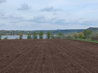 Продается земельный участок на берегу реки Днестр 0.1799 ha