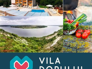 Vila Dorului  Moldova foto 3