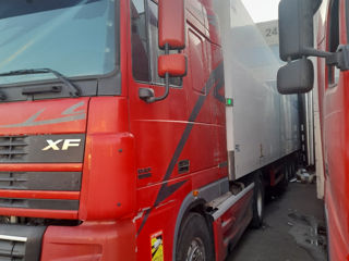 Daf XF 95.480 foto 2