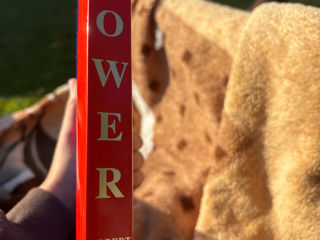 Vand The 48 laws of POWER in engleza  de Robert greene foto 3