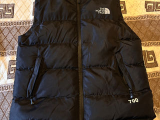 The north face