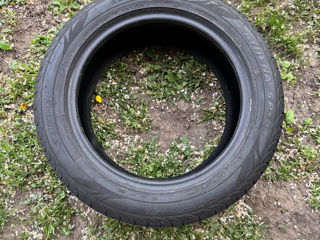 Austone 205/55 R16 vara