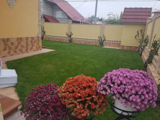 Botanica, casă cu curte, Intrare separată, 2 odăi, Preț 350€!!! foto 3