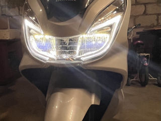 Honda Pcx foto 1