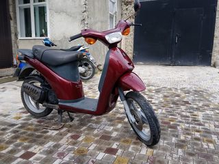 Piaggio Free foto 4