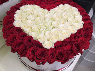 Livrare flori! 101 trandafiri de la 799 mdl! Доставка цветов 101 роза от 799 лей! Flowers delivery foto 5