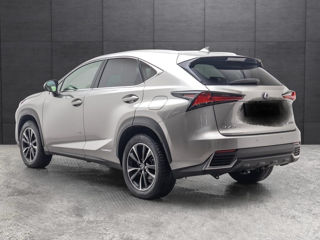 Lexus NX Series foto 3