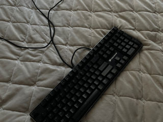 Vand tastatura coungar vantar MX foto 4