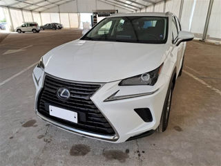 Lexus NX Series