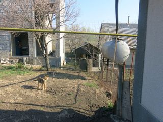 Masivul de vile Cojușna, nu departe de șos. Chișinău – Strașeni, lângă lacul Ghidighici. foto 5