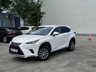 Lexus NX Series