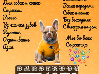 Груминг BARBERDOG