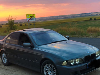 BMW 5 Series foto 2