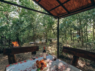 Casă cu Guest House în Chișinău, str. Valea Albă, zonă verde lîngă pădure foto 10