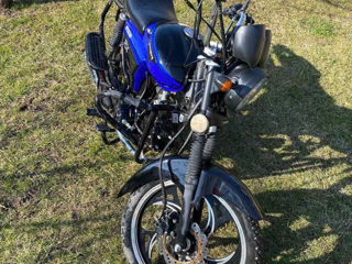 Viper Rx110
