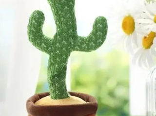 Cactus( danseaza,lumeneaza,repete,cîntă)
