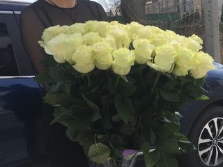Розы и другие цветы в ассортименте по доступным ценам от foto 9