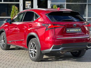 Lexus NX Series foto 4