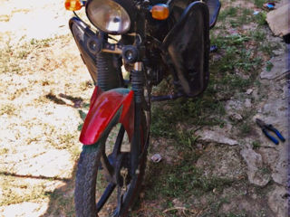 Alpha Moto Alpha foto 5