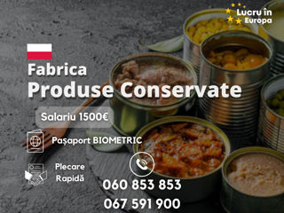 consultareue