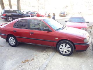 Nissan Primera foto 2