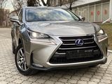 Lexus NX Series foto 6