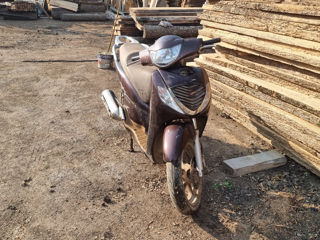 Honda Honda SH 150 foto 5