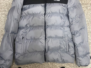 Vind scurta The north face