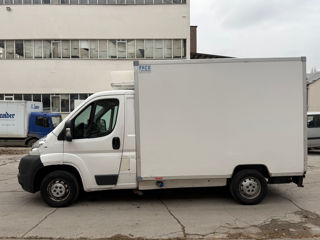 Fiat Ducato frigorific foto 2