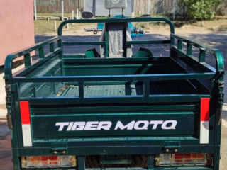 Tiger IRGA 2500 foto 1